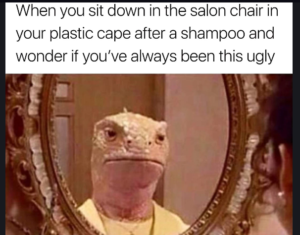 Sitting in hairdresser chair meme