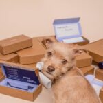 <strong>How to Choose the Right Shipping Box for Your Business</strong>