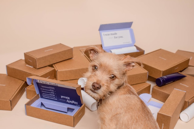 <strong>How to Choose the Right Shipping Box for Your Business</strong>