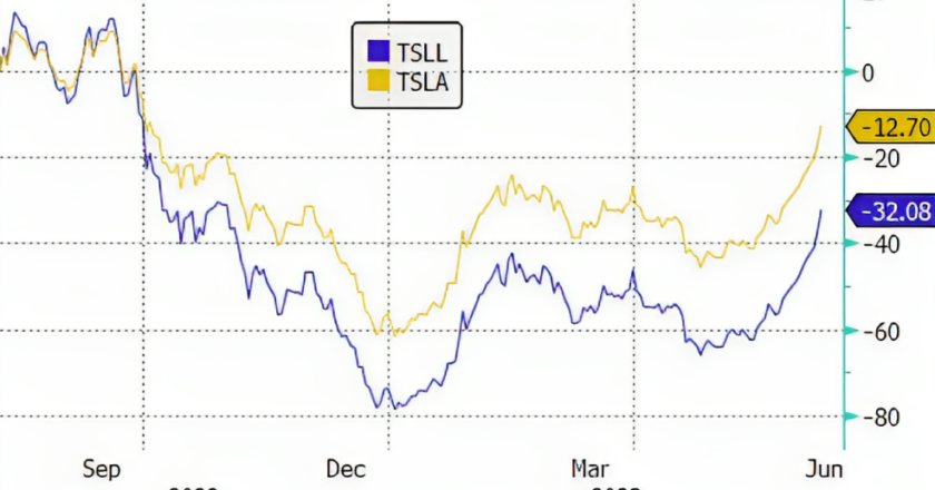TSLL | Direxion Daily TSLA Bull 1.5X Shares Overview