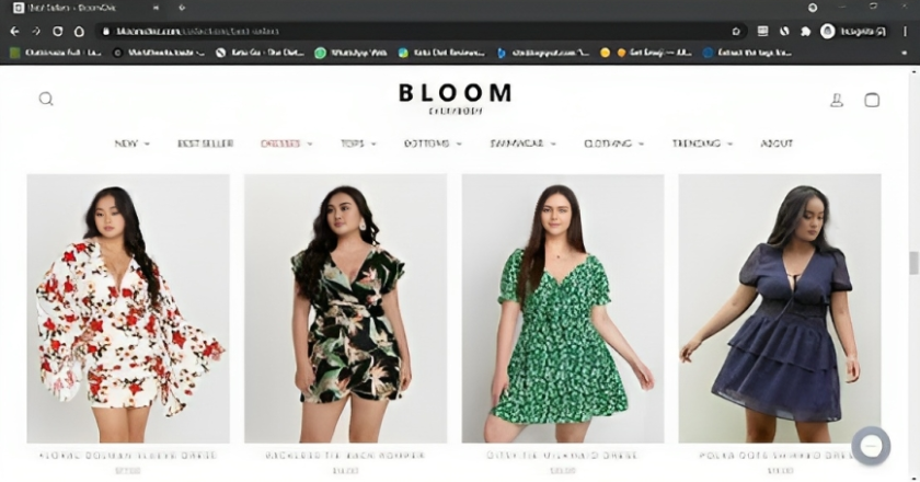 BloomChic Plus Size Store- Review