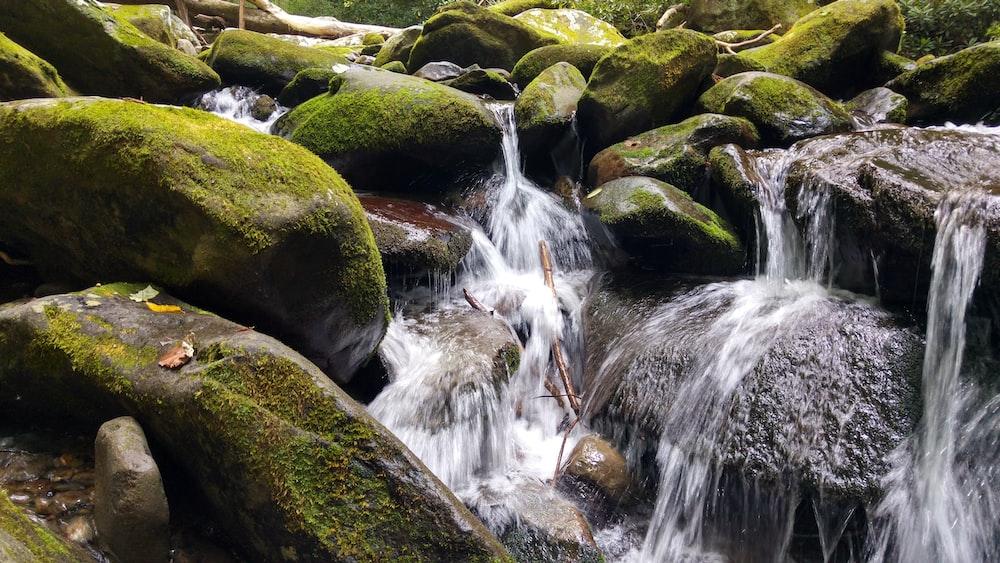 9 Reasons You Should Consider a Vacation in the Smoky Mountains