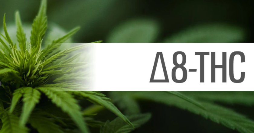 <strong>How to Use Delta 8 THC Flower: A Beginner’s Guide</strong>